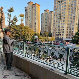 上海墅传铁艺大门铁艺栏杆款式1